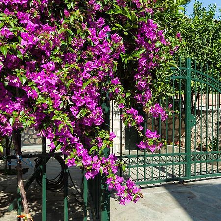Xenios Loutra Village Mary'S House Agia Paraskevi  Exterior foto